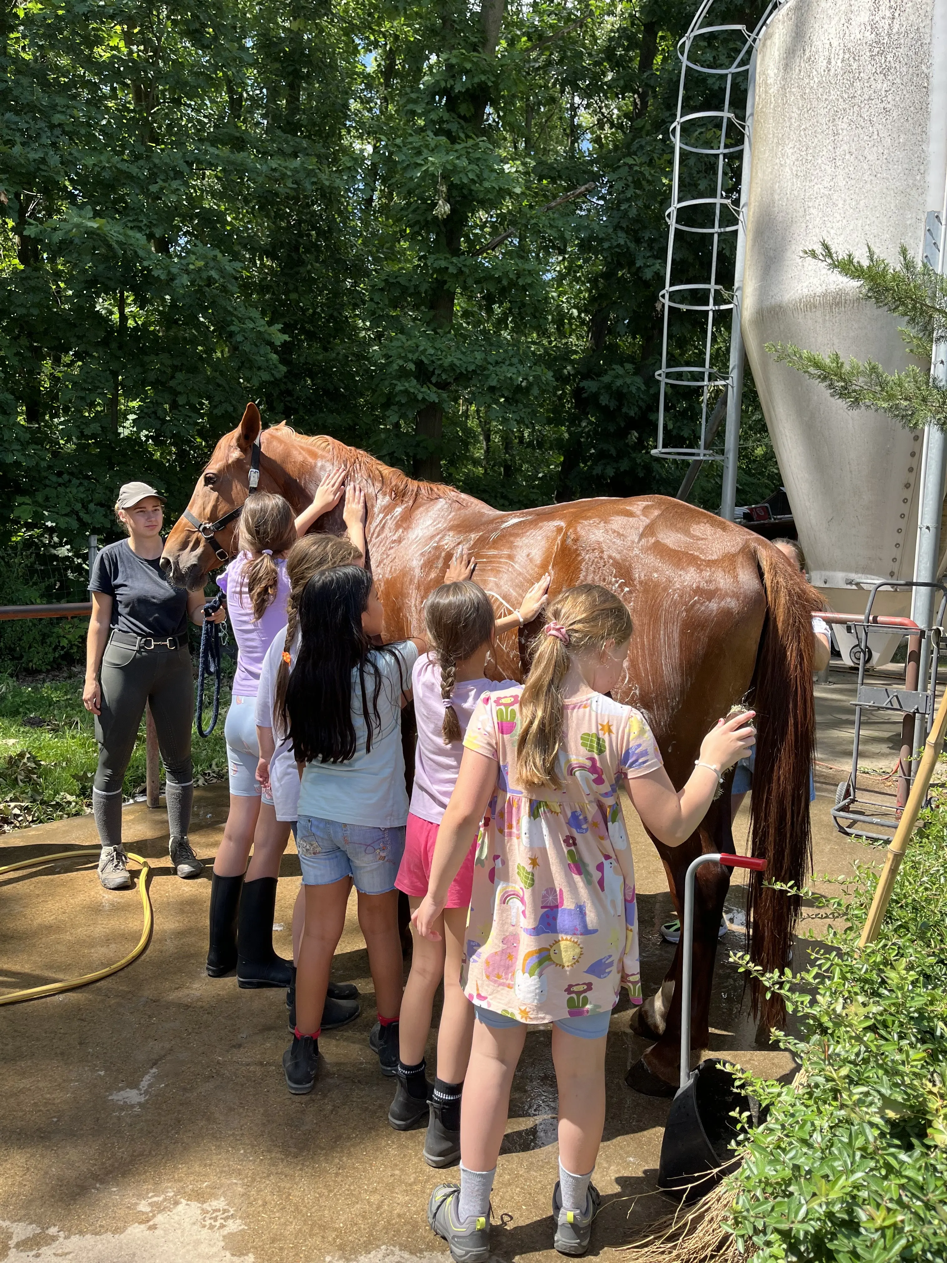 t&aacute;bor k&eacute;p